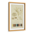 Especies De Liquen Iv | Cuadro decorativo de Canvas Lab