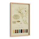 Especies De Liquen Iv | Cuadro decorativo de Canvas Lab