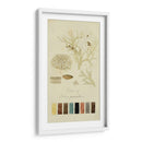 Especies De Liquen Iv | Cuadro decorativo de Canvas Lab