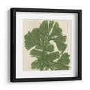 Grillante Seaweed Iv - Vision Studio | Cuadro decorativo de Canvas Lab