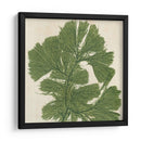Grillante Seaweed Iv - Vision Studio | Cuadro decorativo de Canvas Lab