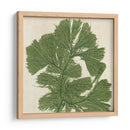 Grillante Seaweed Iv - Vision Studio | Cuadro decorativo de Canvas Lab