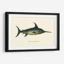 Espada Común - Vision Studio | Cuadro decorativo de Canvas Lab