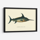 Espada Común - Vision Studio | Cuadro decorativo de Canvas Lab