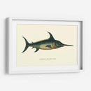 Espada Común - Vision Studio | Cuadro decorativo de Canvas Lab