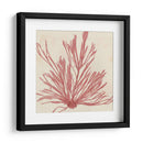 Grillante Seaweed Ix - Vision Studio | Cuadro decorativo de Canvas Lab