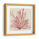 Grillante Seaweed Ix - Vision Studio | Cuadro decorativo de Canvas Lab