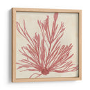 Grillante Seaweed Ix - Vision Studio | Cuadro decorativo de Canvas Lab