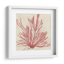 Grillante Seaweed Ix - Vision Studio | Cuadro decorativo de Canvas Lab