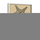 Conchas En Caqui Ii - Denis Diderot | Cuadro decorativo de Canvas Lab