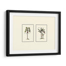 Palm Miniatura I - Vision Studio | Cuadro decorativo de Canvas Lab