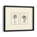 Palm Miniatura I - Vision Studio | Cuadro decorativo de Canvas Lab