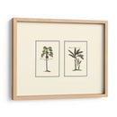 Palm Miniatura I - Vision Studio | Cuadro decorativo de Canvas Lab