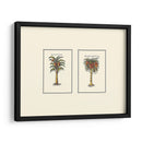 Palm Miniatura Ii - Vision Studio | Cuadro decorativo de Canvas Lab