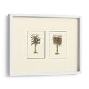 Palm Miniatura Ii - Vision Studio | Cuadro decorativo de Canvas Lab