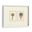 Palm Miniatura Iv - Vision Studio | Cuadro decorativo de Canvas Lab