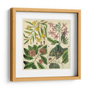 Catesby Cuadrante Botánico I - Mark Catesby | Cuadro decorativo de Canvas Lab