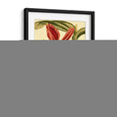 Mini Splendor Ii De Orchid - Vision Studio | Cuadro decorativo de Canvas Lab