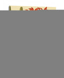 Mini Esplendor De Orquídea Iii - Vision Studio | Cuadro decorativo de Canvas Lab