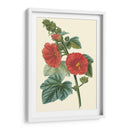 Belleza Carmesí Ii - Turpin | Cuadro decorativo de Canvas Lab