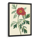 Crimson Beauty Iii - Turpin | Cuadro decorativo de Canvas Lab