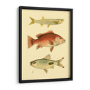 Peces Antiguos Ii - Ernest Briggs | Cuadro decorativo de Canvas Lab