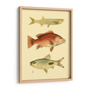 Peces Antiguos Ii - Ernest Briggs | Cuadro decorativo de Canvas Lab