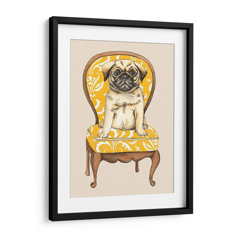 Pet Mimpered I - Chariklia Zarris | Cuadro decorativo de Canvas Lab