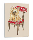 Pet Mimpered Ii - Chariklia Zarris | Cuadro decorativo de Canvas Lab