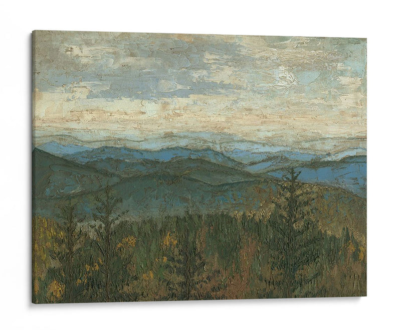 Vista De Blue Ridge Ii - Megan Meagher | Cuadro decorativo de Canvas Lab