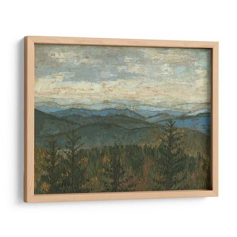 Vista De Blue Ridge Ii - Megan Meagher | Cuadro decorativo de Canvas Lab