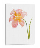 Acuarela Jardín Vi - Kiana Mosley | Cuadro decorativo de Canvas Lab