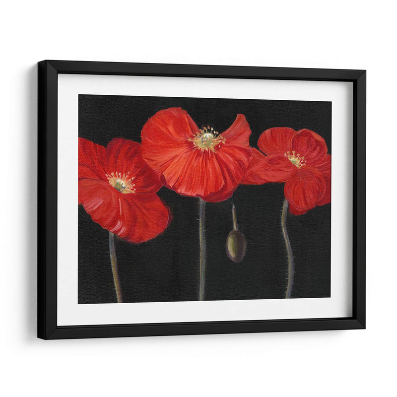 Poppy Trio I - Christopher J. Trew | Cuadro decorativo de Canvas Lab