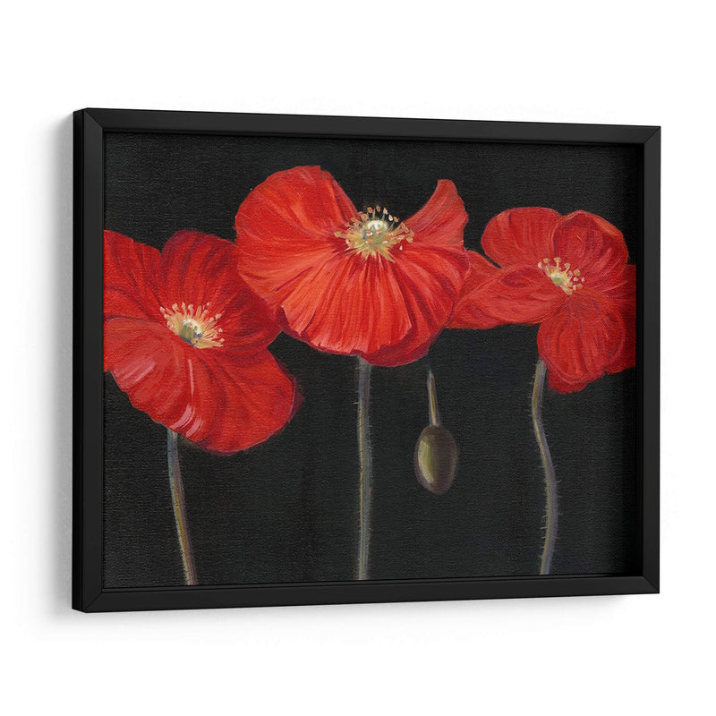 Poppy Trio I - Christopher J. Trew | Cuadro decorativo de Canvas Lab