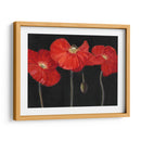 Poppy Trio I - Christopher J. Trew | Cuadro decorativo de Canvas Lab