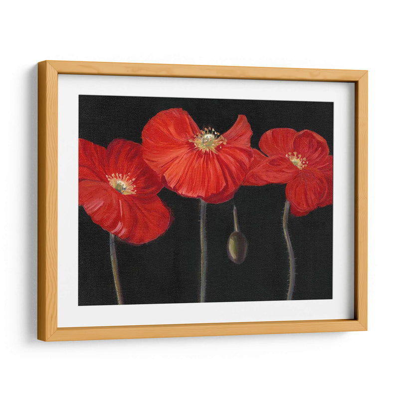 Poppy Trio I - Christopher J. Trew | Cuadro decorativo de Canvas Lab