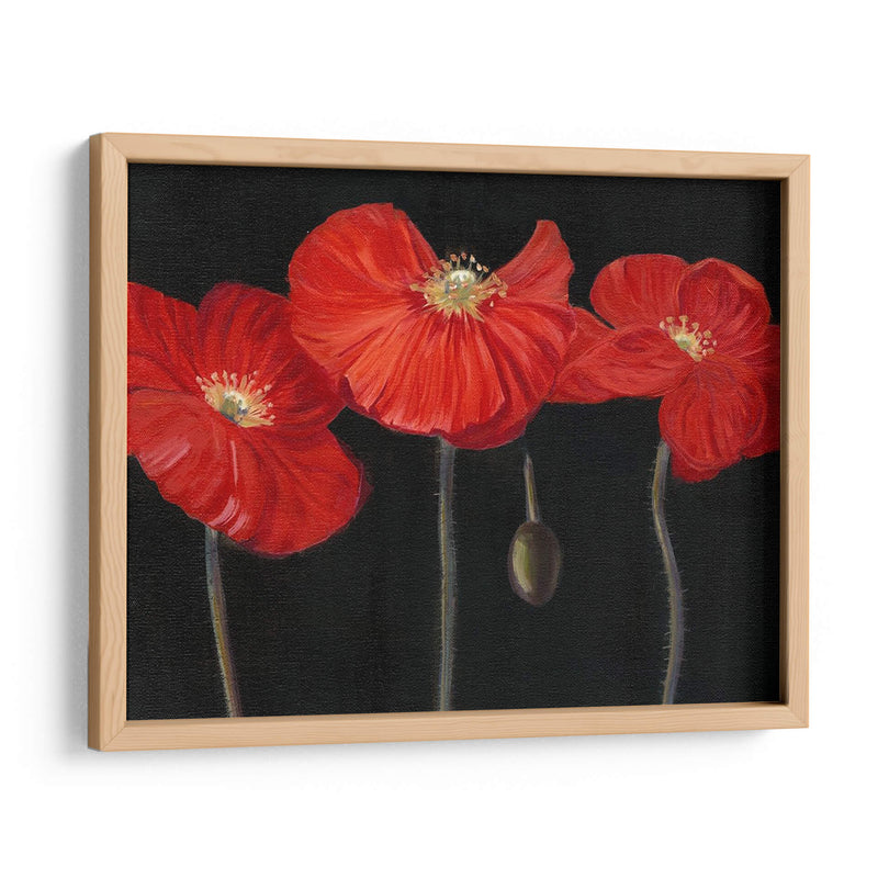 Poppy Trio I - Christopher J. Trew | Cuadro decorativo de Canvas Lab