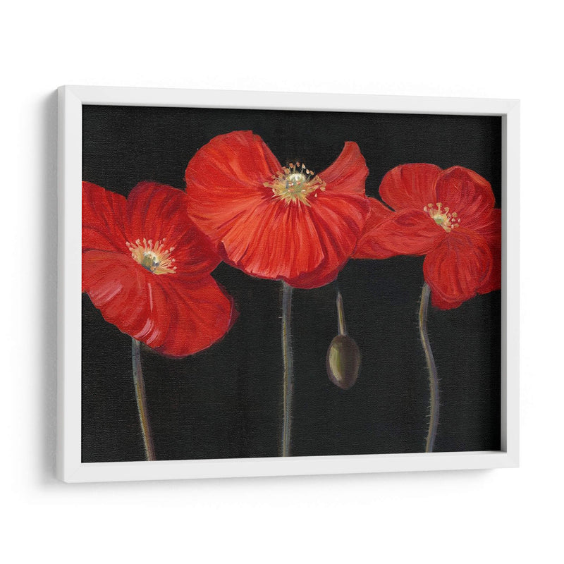 Poppy Trio I - Christopher J. Trew | Cuadro decorativo de Canvas Lab