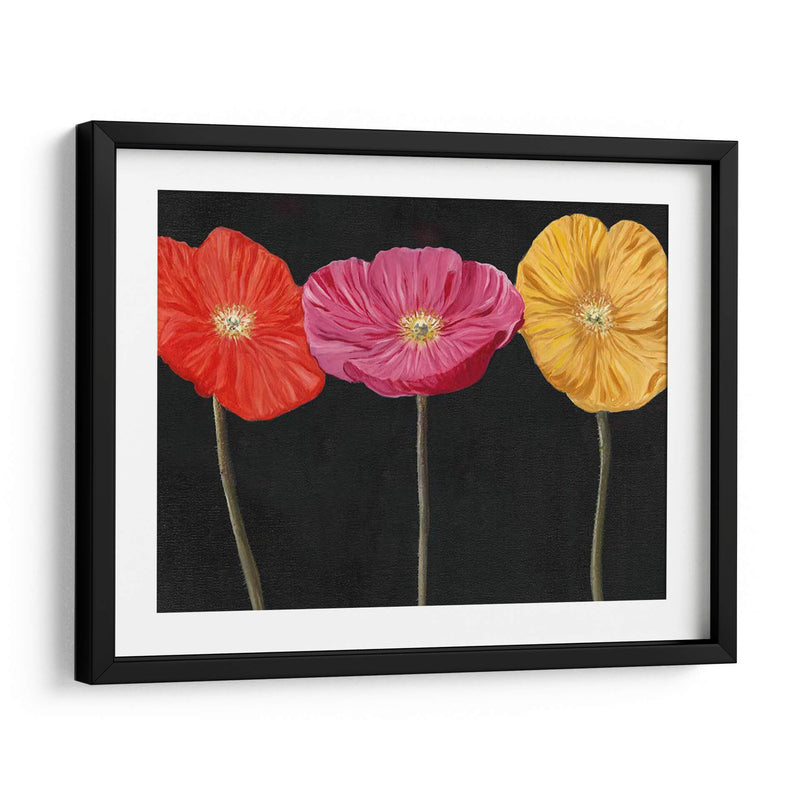 Poppy Trio Ii - Christopher J. Trew | Cuadro decorativo de Canvas Lab