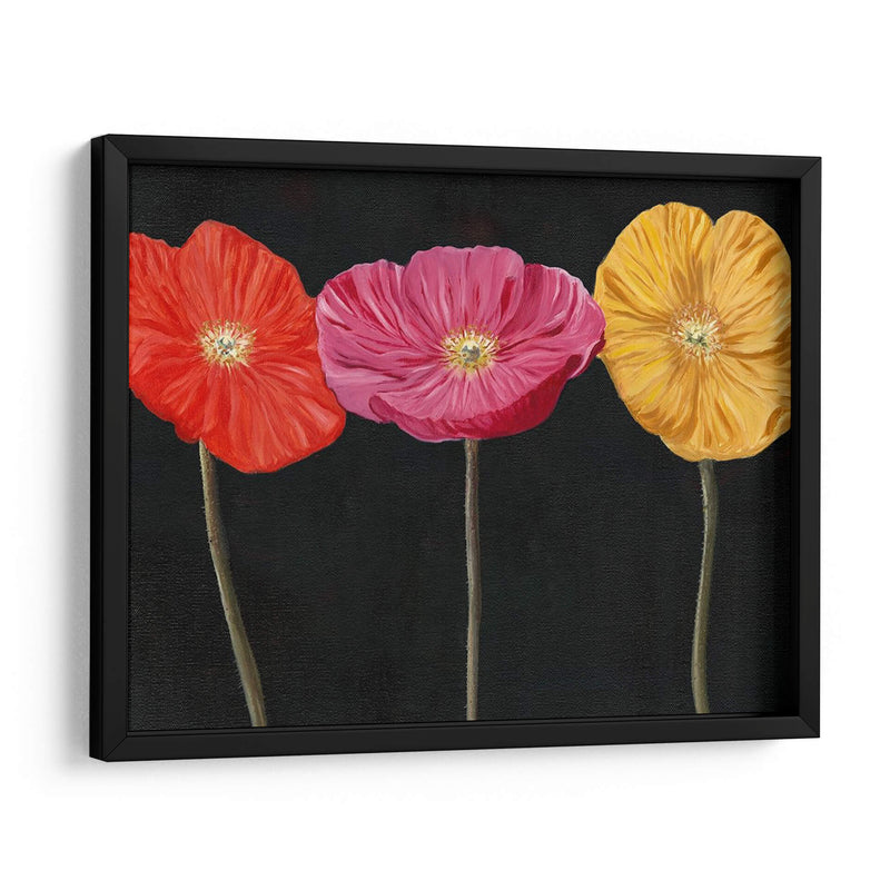 Poppy Trio Ii - Christopher J. Trew | Cuadro decorativo de Canvas Lab