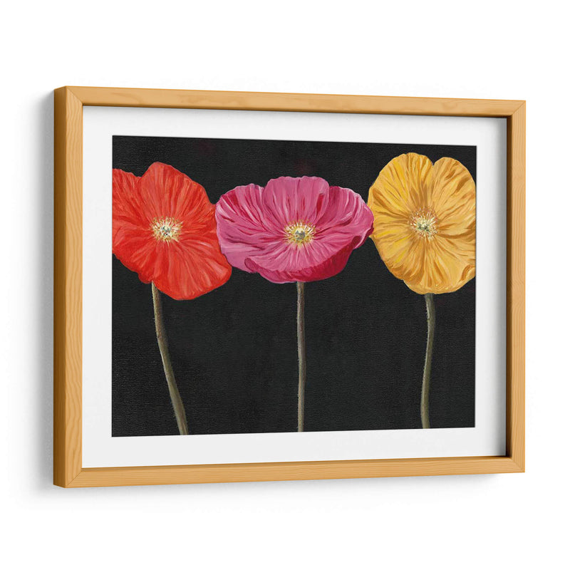 Poppy Trio Ii - Christopher J. Trew | Cuadro decorativo de Canvas Lab