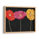 Poppy Trio Ii - Christopher J. Trew | Cuadro decorativo de Canvas Lab
