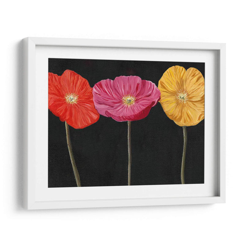 Poppy Trio Ii - Christopher J. Trew | Cuadro decorativo de Canvas Lab