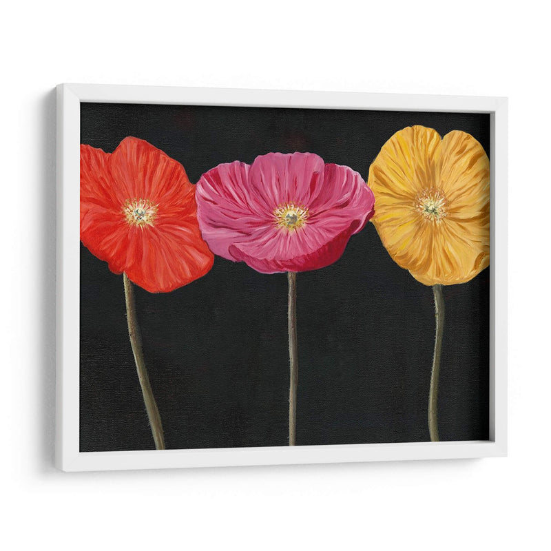 Poppy Trio Ii - Christopher J. Trew | Cuadro decorativo de Canvas Lab