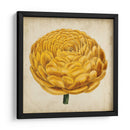 Pop Floral Viii - Vision Studio | Cuadro decorativo de Canvas Lab