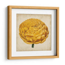 Pop Floral Viii - Vision Studio | Cuadro decorativo de Canvas Lab