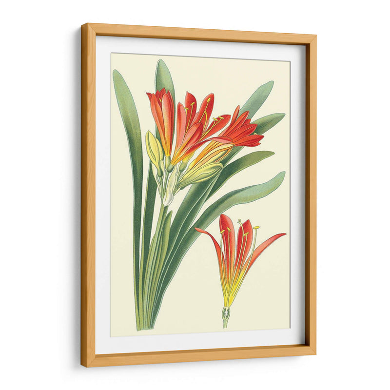 Lilies Sorprendentes Iii - Philip Miller | Cuadro decorativo de Canvas Lab