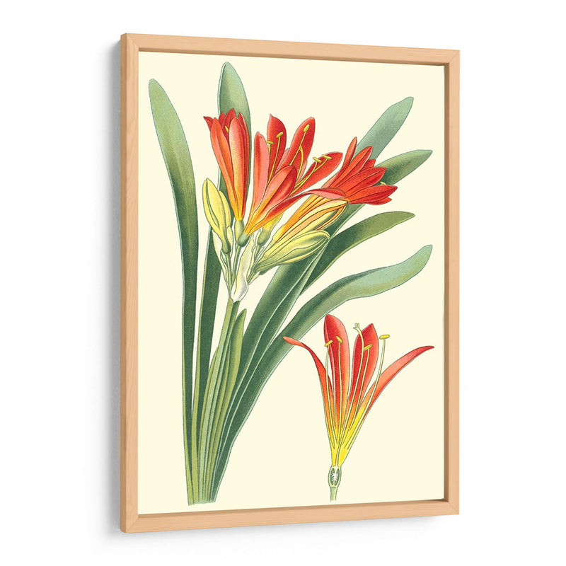 Lilies Sorprendentes Iii - Philip Miller | Cuadro decorativo de Canvas Lab