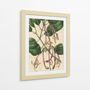 Belleza Botánica I-II - Vision Studio | Cuadro decorativo de Canvas Lab