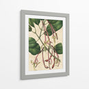 Belleza Botánica I-II - Vision Studio | Cuadro decorativo de Canvas Lab